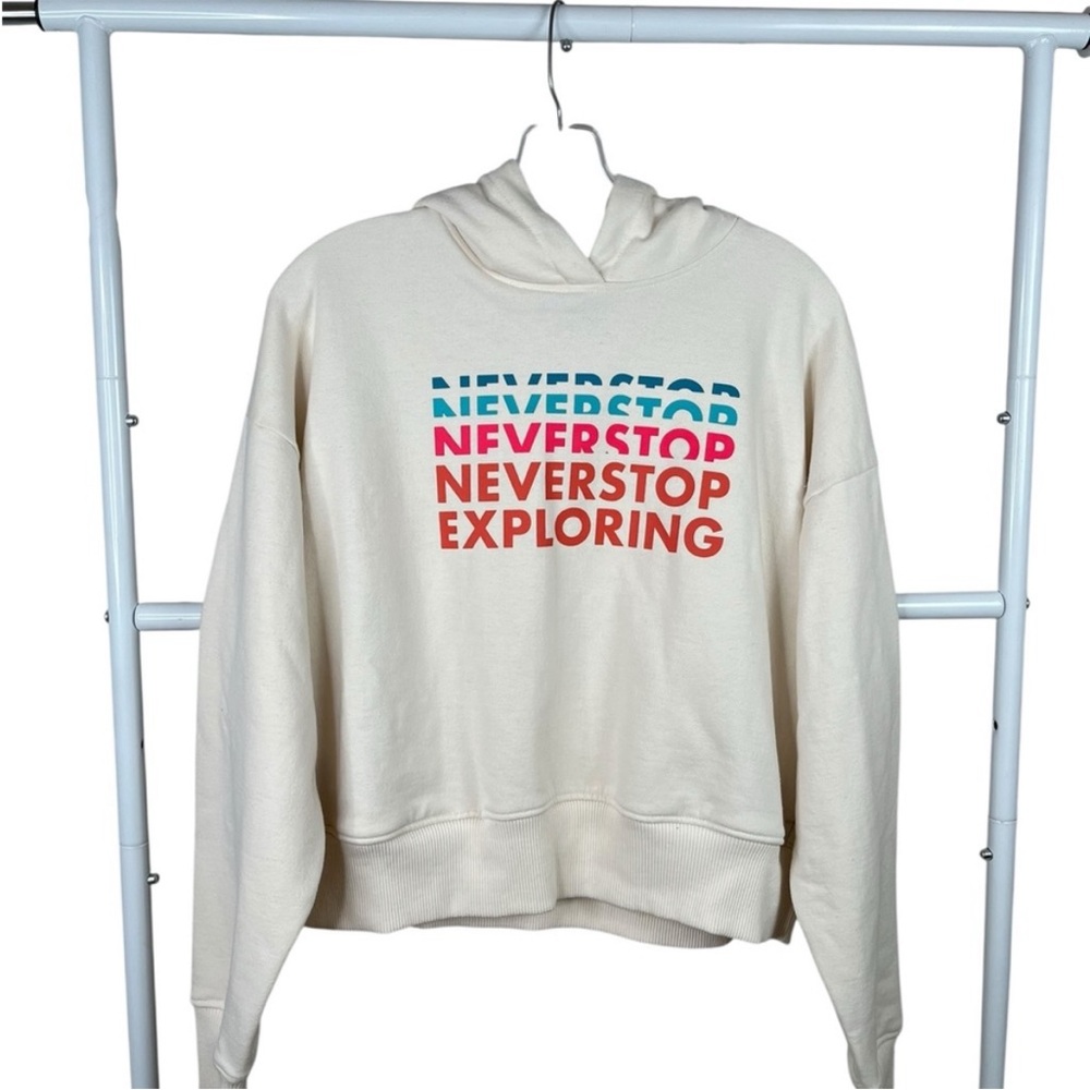 The North Face Logo Play Hoodie Medium